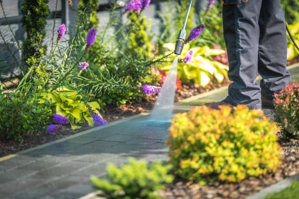 Best Fence Cleaning and Maintenance in Pascagoula, MS