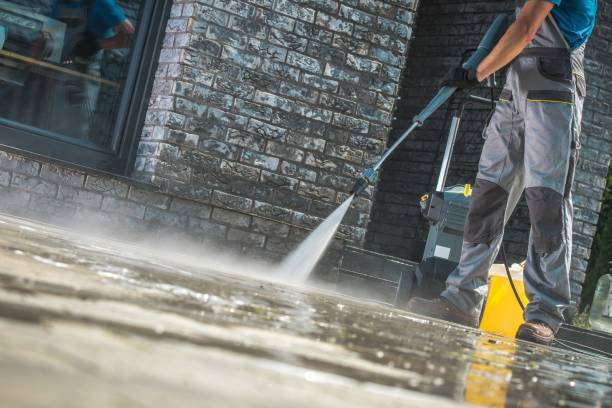 Best Soft Washing for Delicate Surfaces in Pascagoula, MS